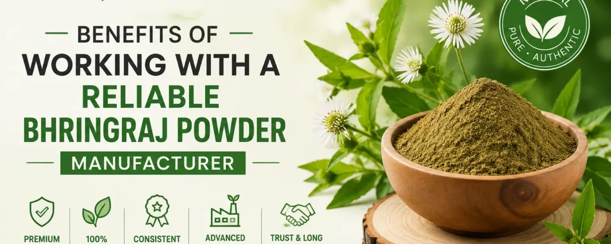 Benefits of Working with a Reliable Bhringraj Powder Manufacturer