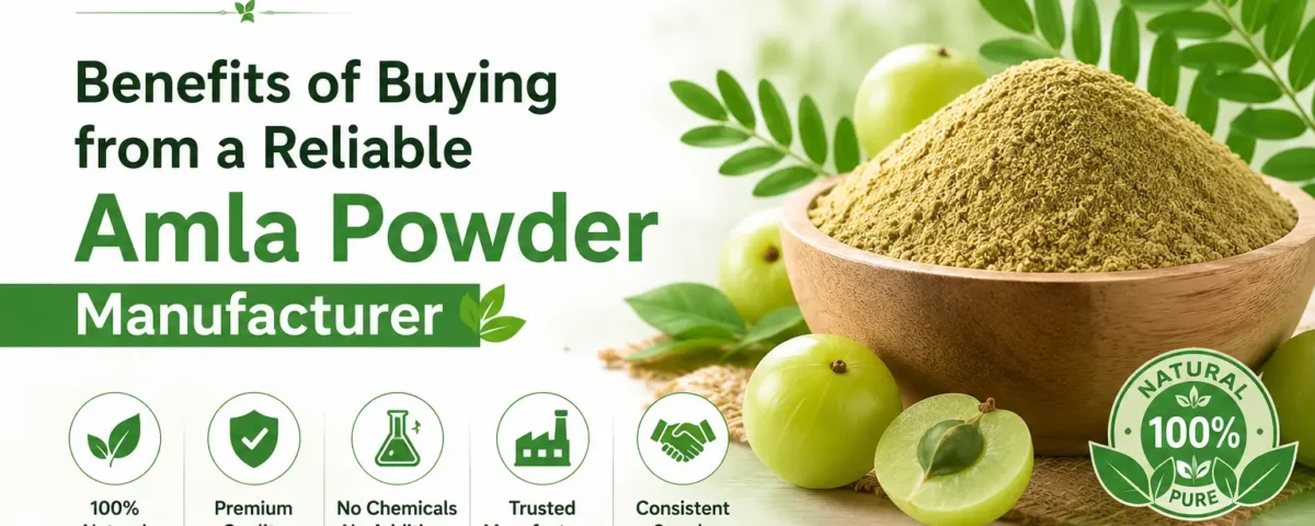 Benefits of Buying from A Reliable Amla Powder Manufacturer