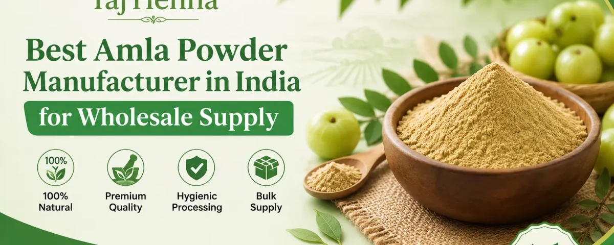 Best Amla Powder Manufacturer in India for Wholesale Supply