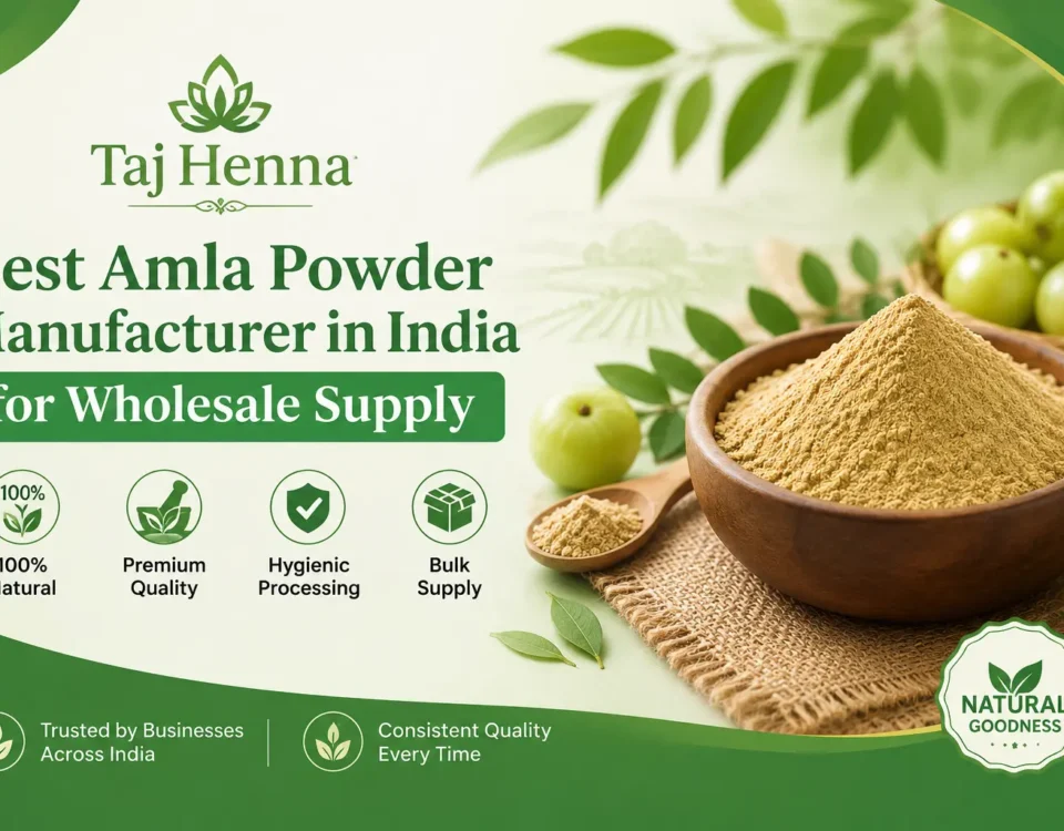 Best Amla Powder Manufacturer in India for Wholesale Supply