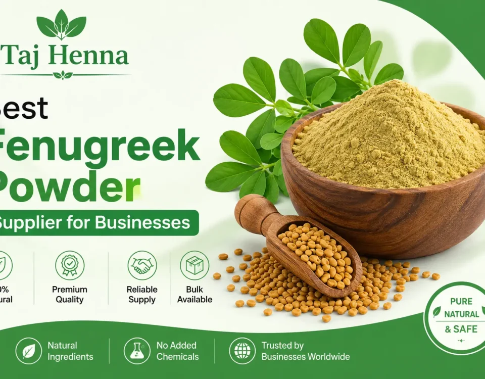 Best Fenugreek Powder Supplier for Businesses in India