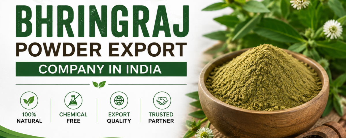 Bhringraj Powder Export Company in India Bulk Supplier