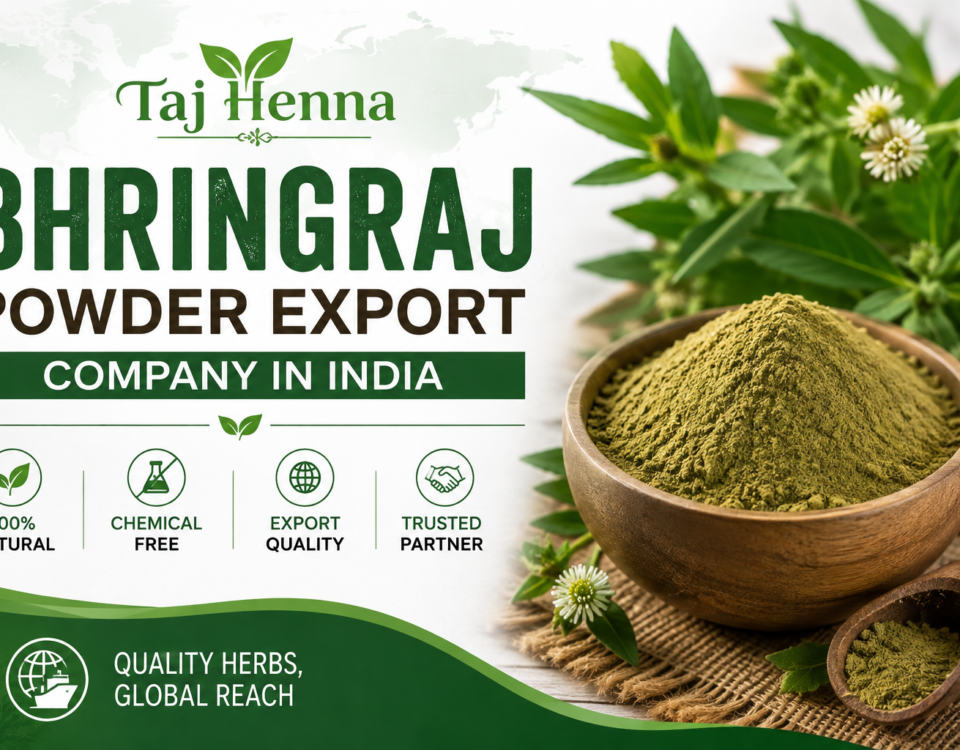 Bhringraj Powder Export Company in India Bulk Supplier
