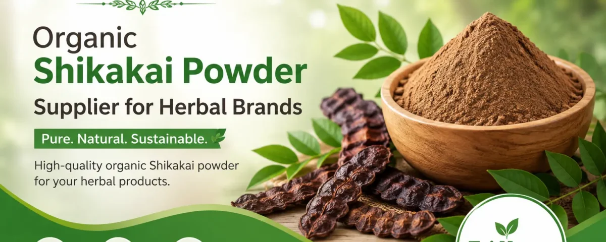 Organic Shikakai Powder Supplier for Herbal Brands