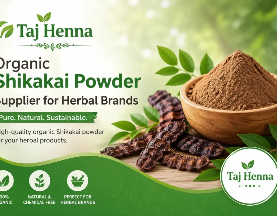 Organic Shikakai Powder Supplier for Herbal Brands