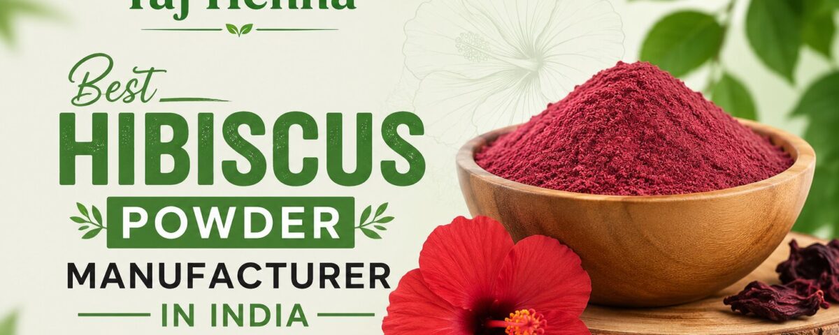 Best Hibiscus Powder Manufacturer in India Bulk Supply