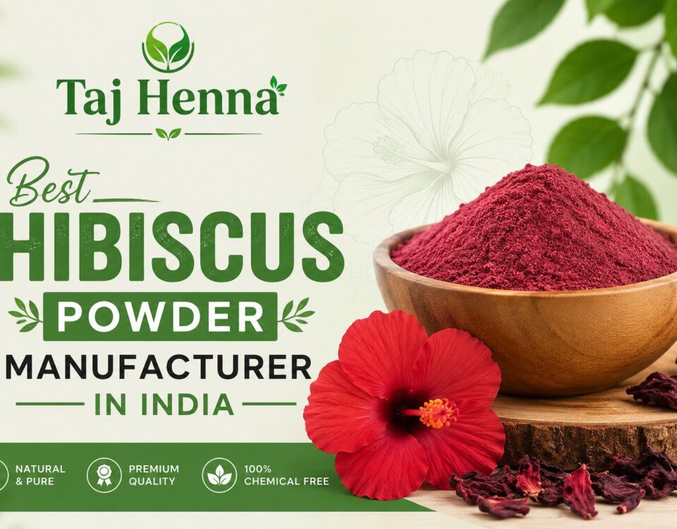 Best Hibiscus Powder Manufacturer in India Bulk Supply